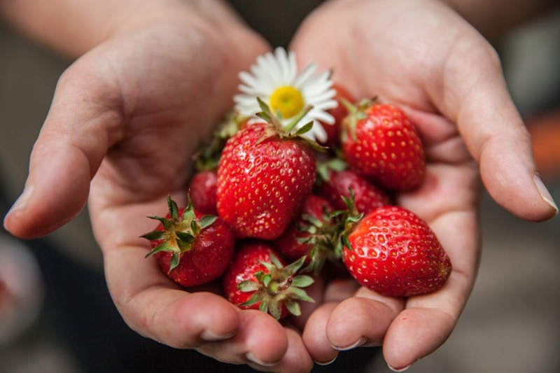 Eating Fruits