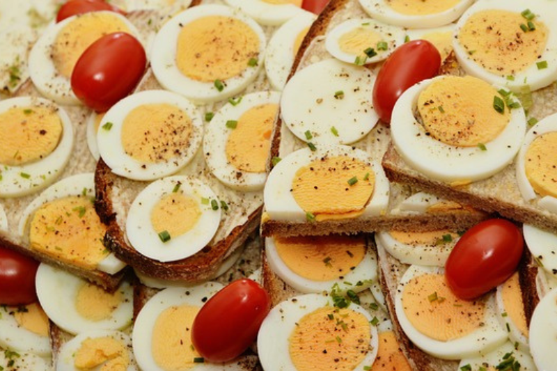 Protein Diet