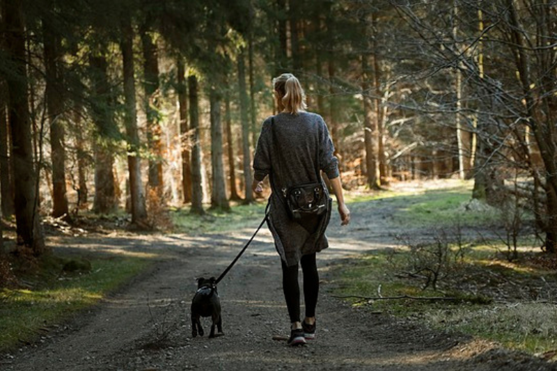 Walking