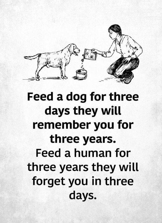 Life-Lesson-Quotes