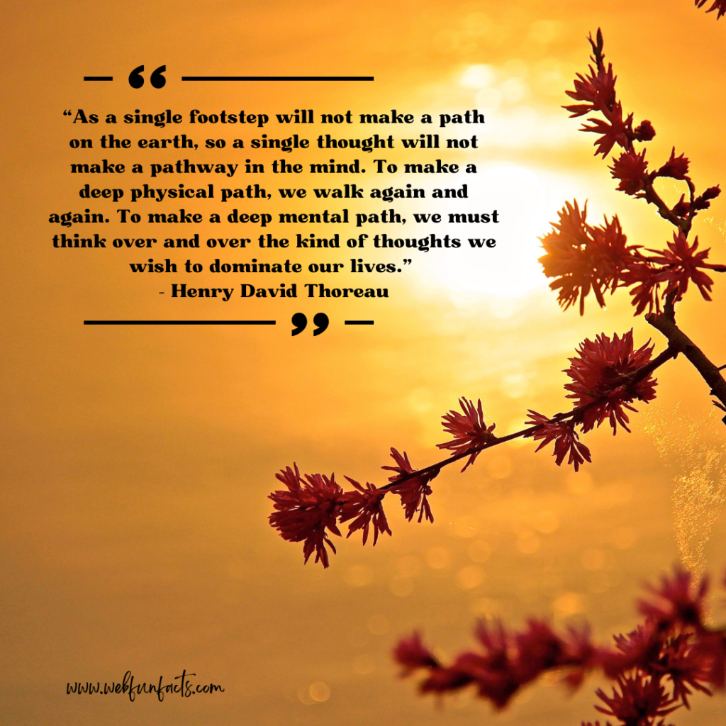 Quotes about life