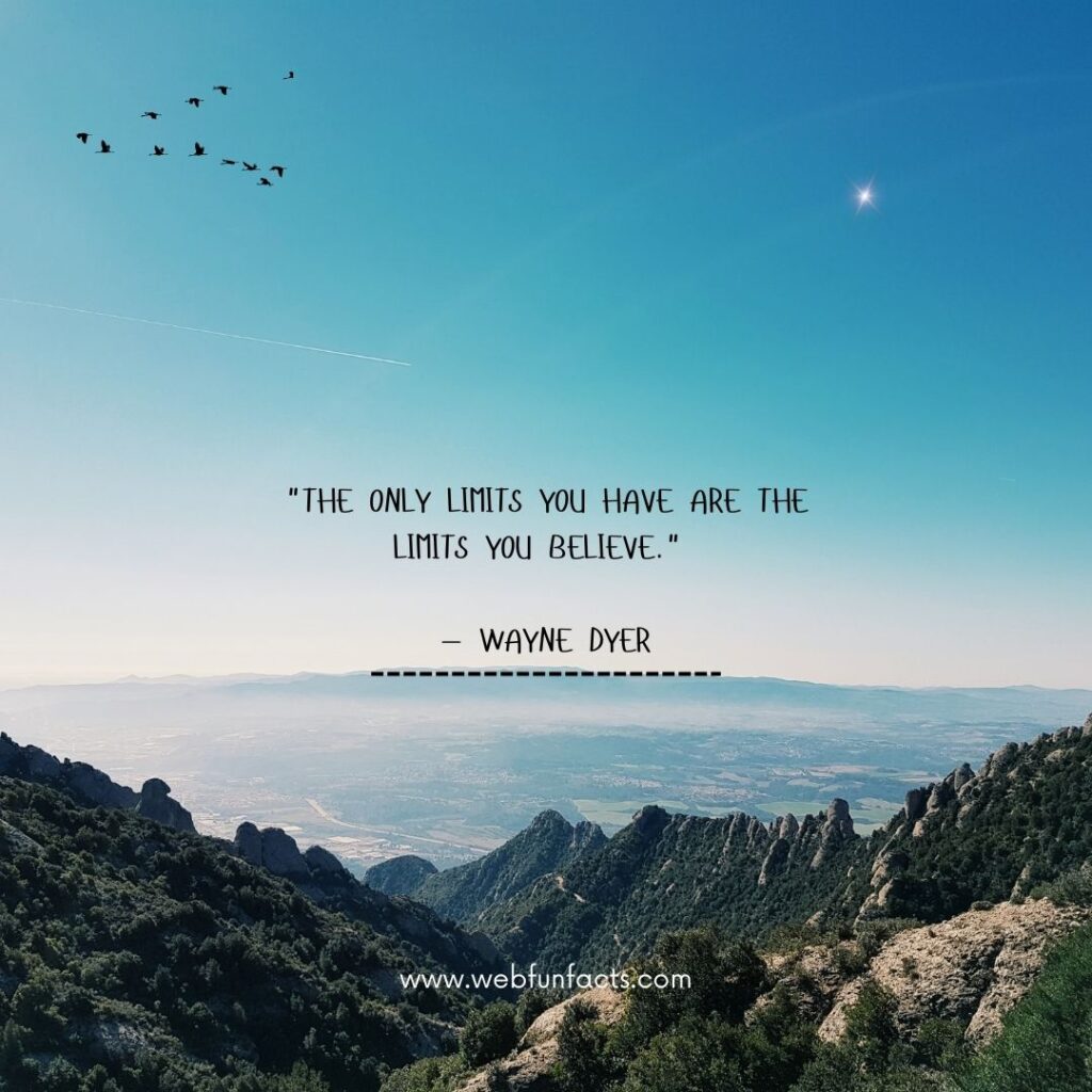 Quotes About Life and Struggles