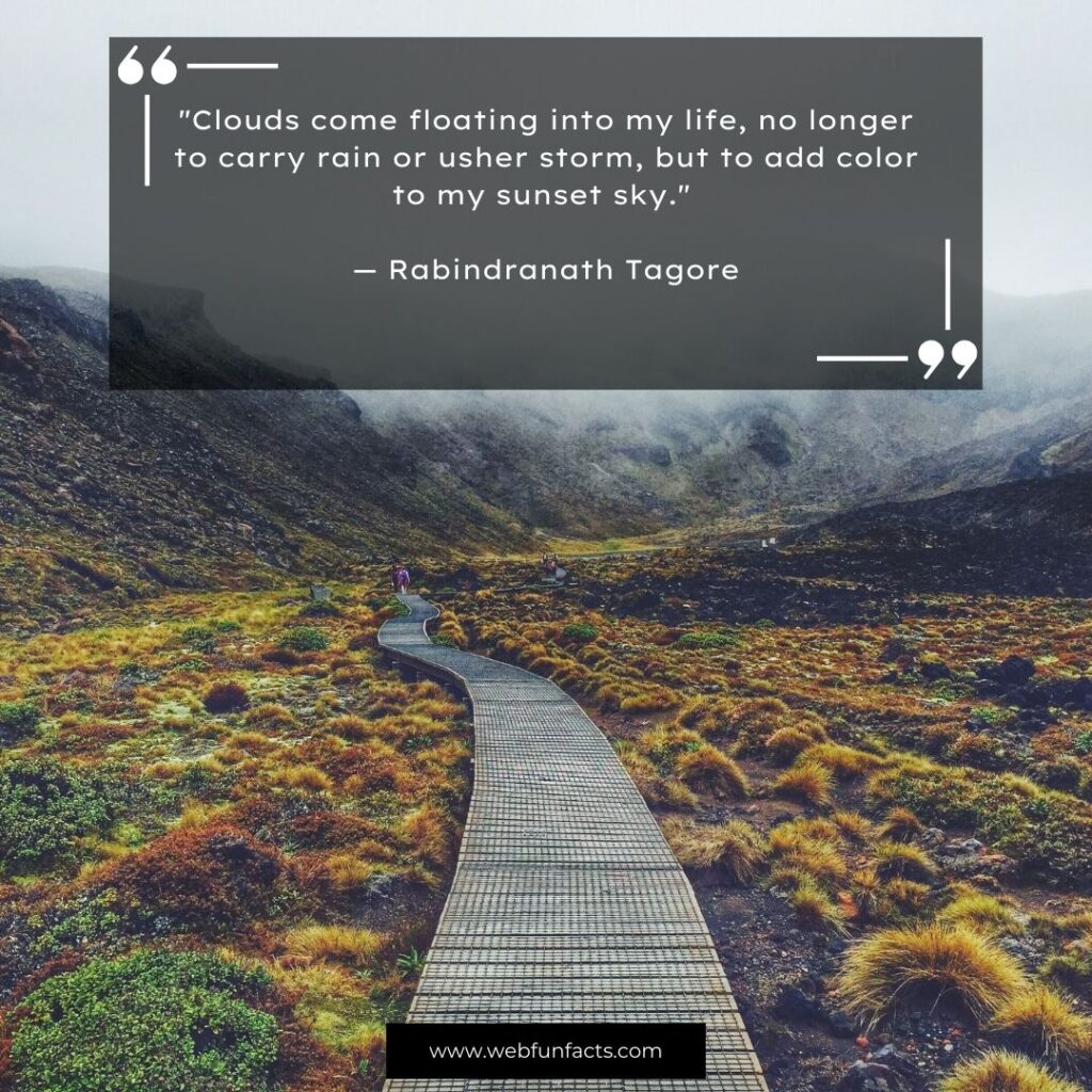 Motivational Words To Brighten Your Day