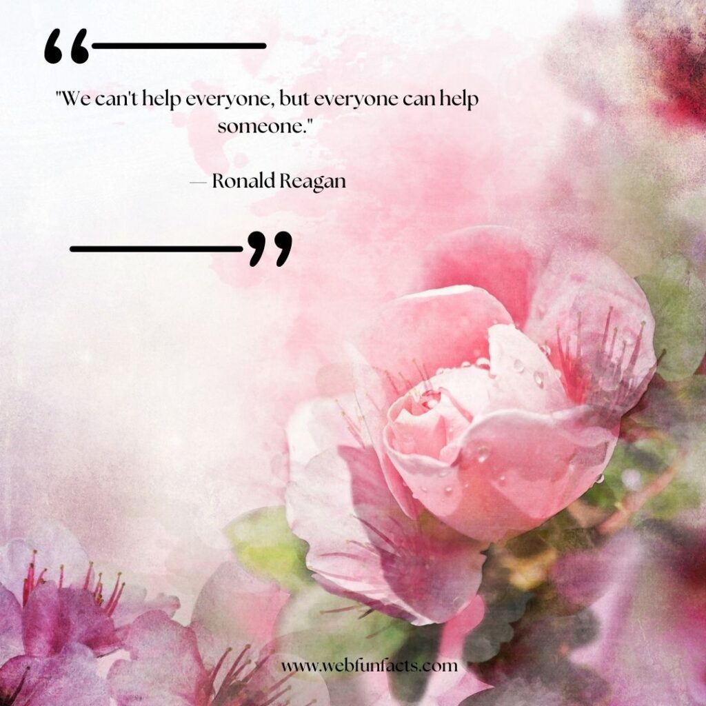 Short Quotes for Instant Inspiration