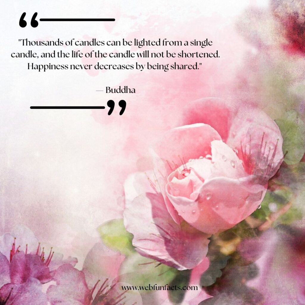 Short Quotes for Instant Inspiration