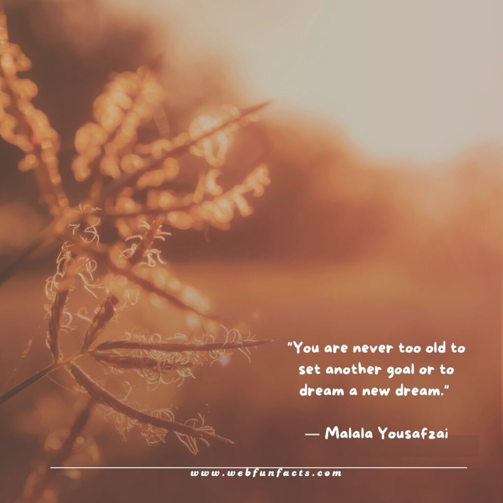 Inspirational Quotes To Keep You Motivated in Life