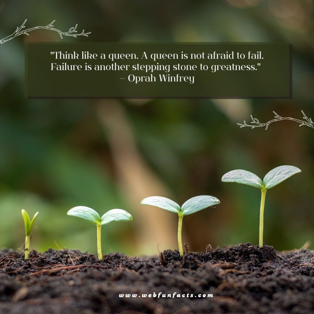Inspirational Quotes To Keep You Motivated in Life