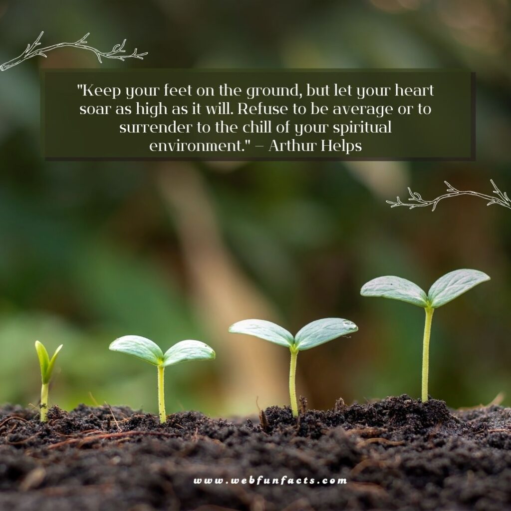 Inspirational Quotes To Keep You Motivated in Life