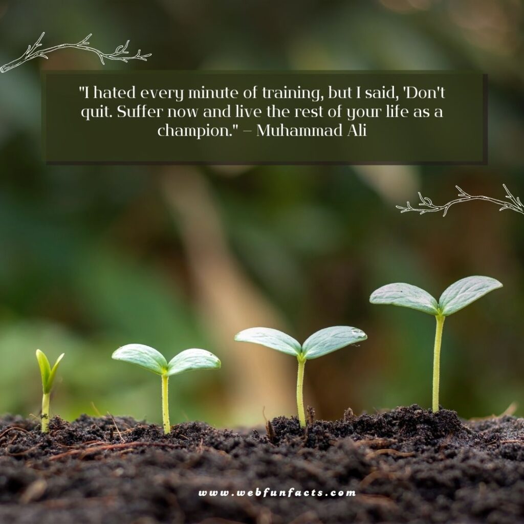 Inspirational Quotes To Keep You Motivated in Life