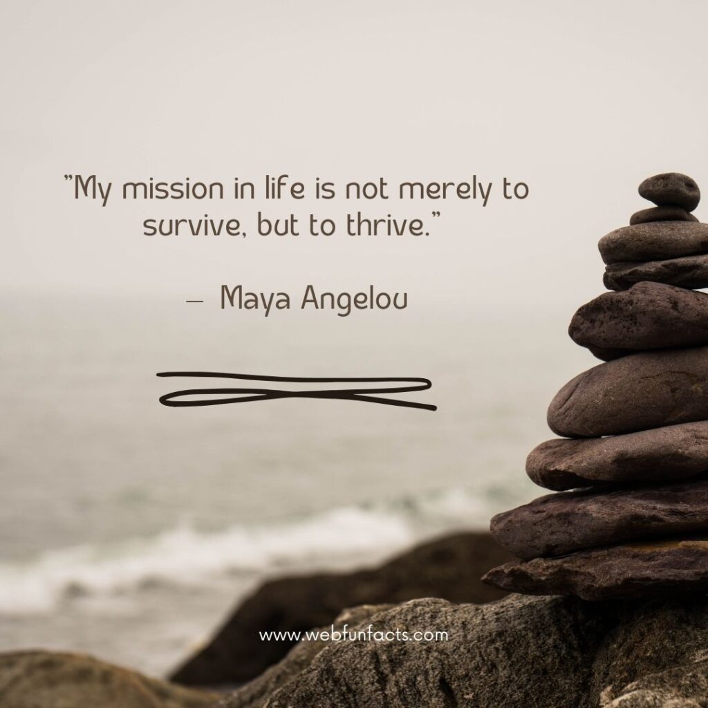 Quotes About Life and Struggles