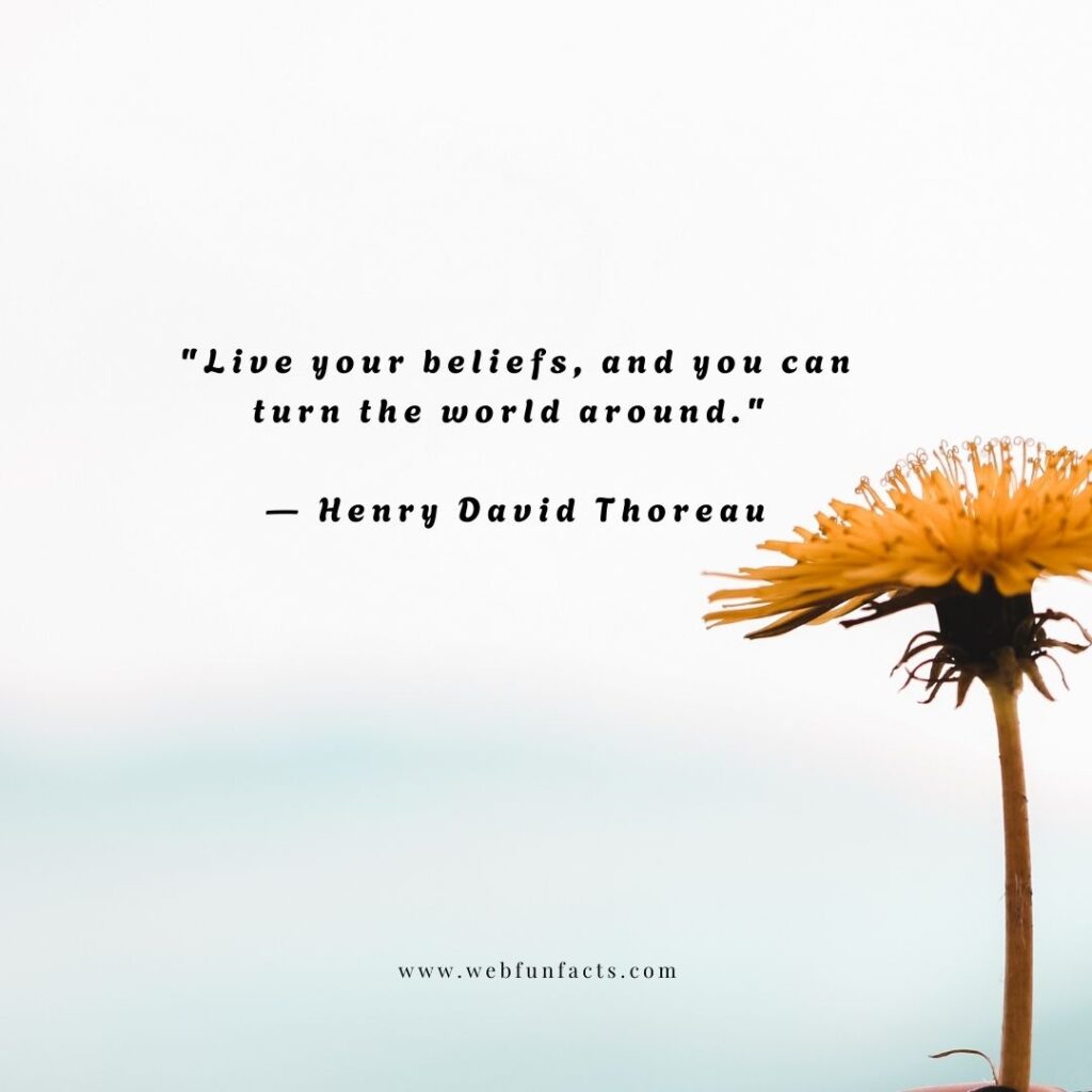 Quotes To Motivate and Uplift