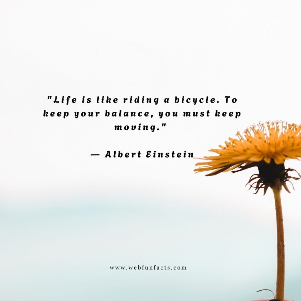 Quotes To Motivate and Uplift
